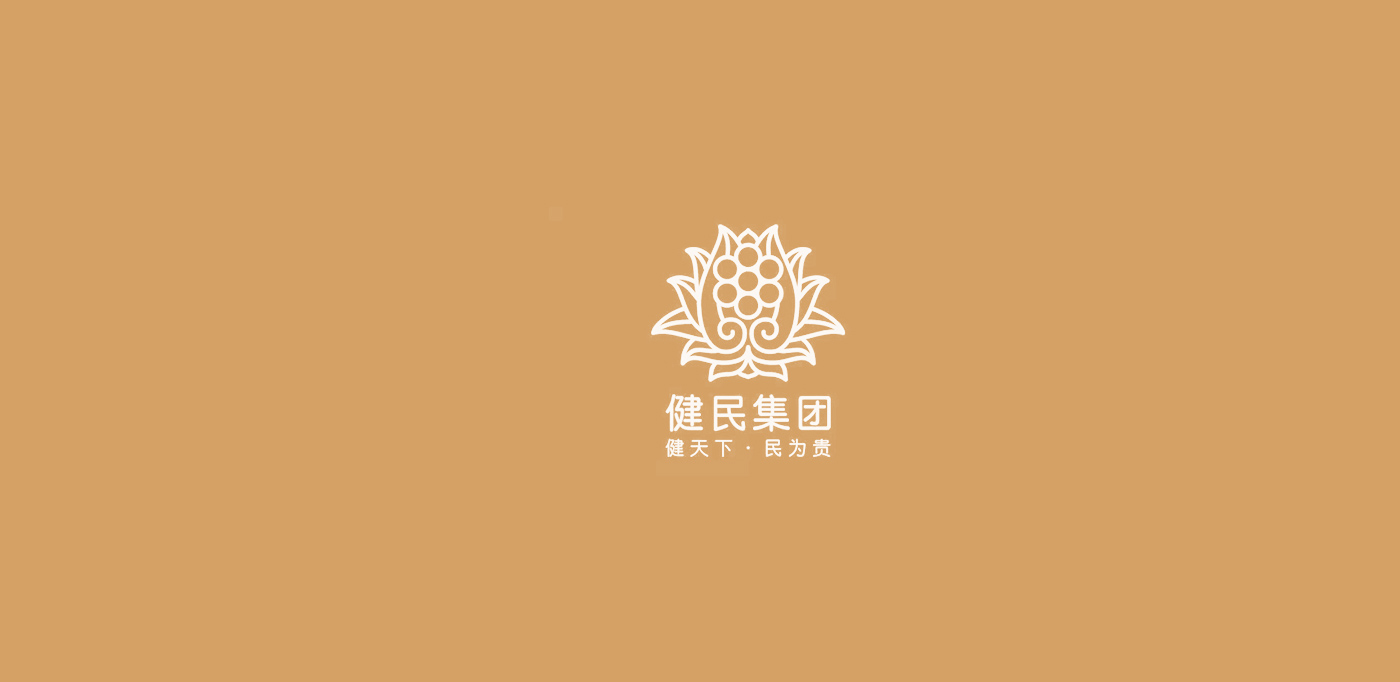 健民集团logo与vi设计