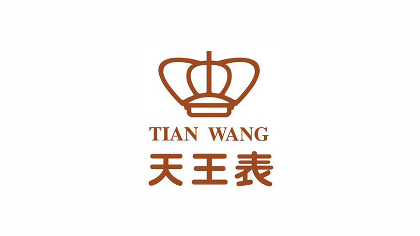 天王电子（深圳）有限公司logo设计及品牌VI
