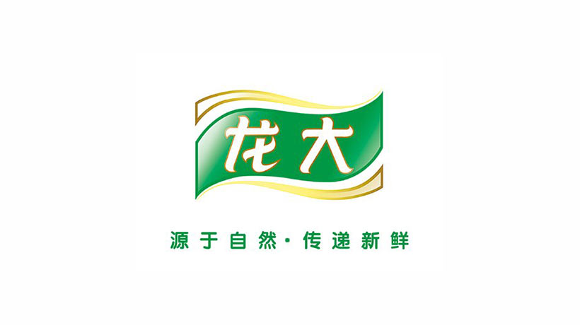 龙大食品集团logo设计及品牌vi